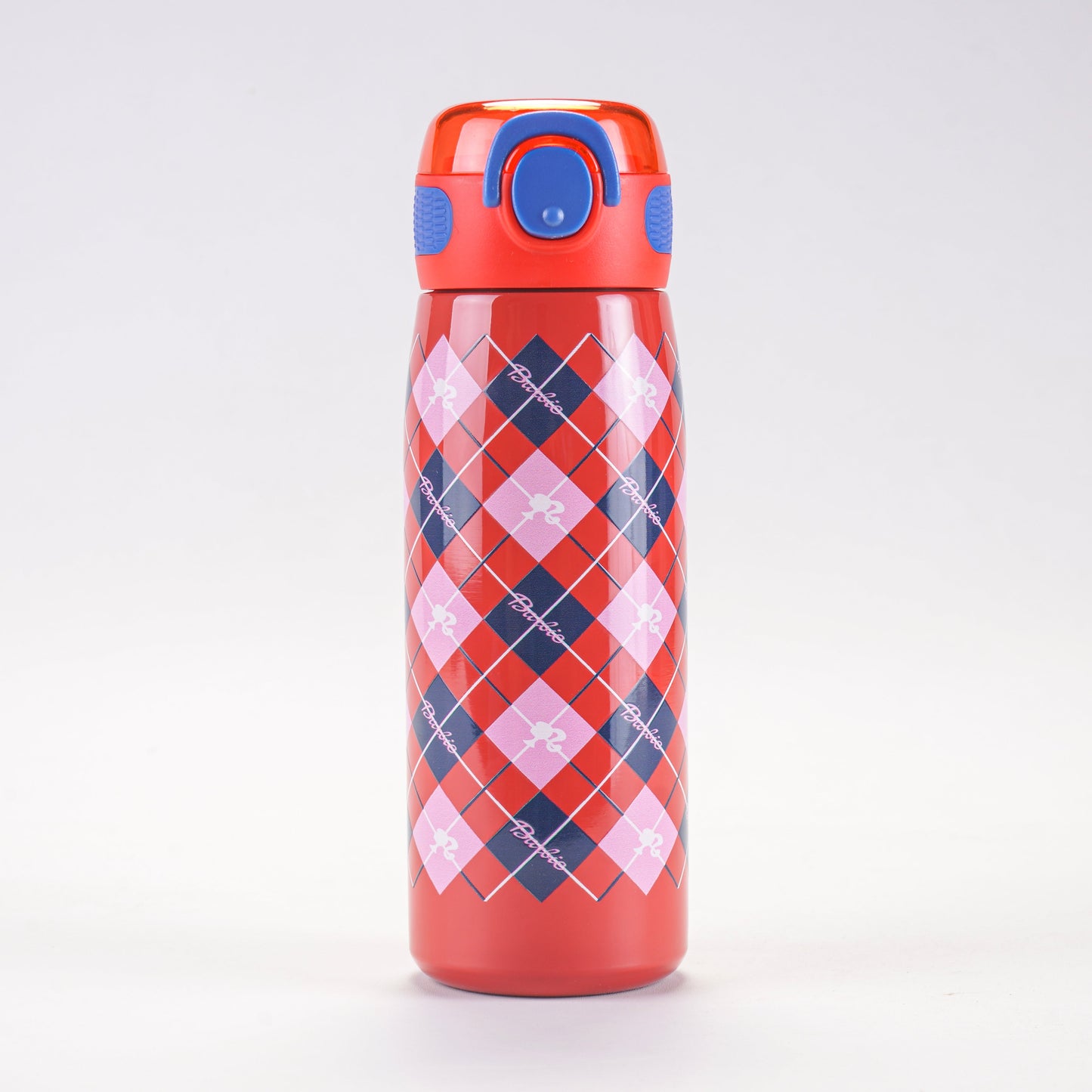 Steel Water Bottle