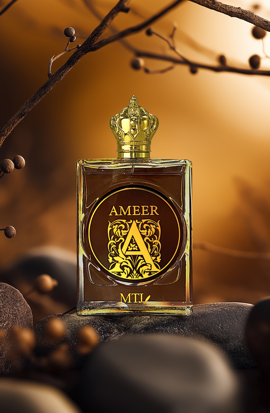 AMEER