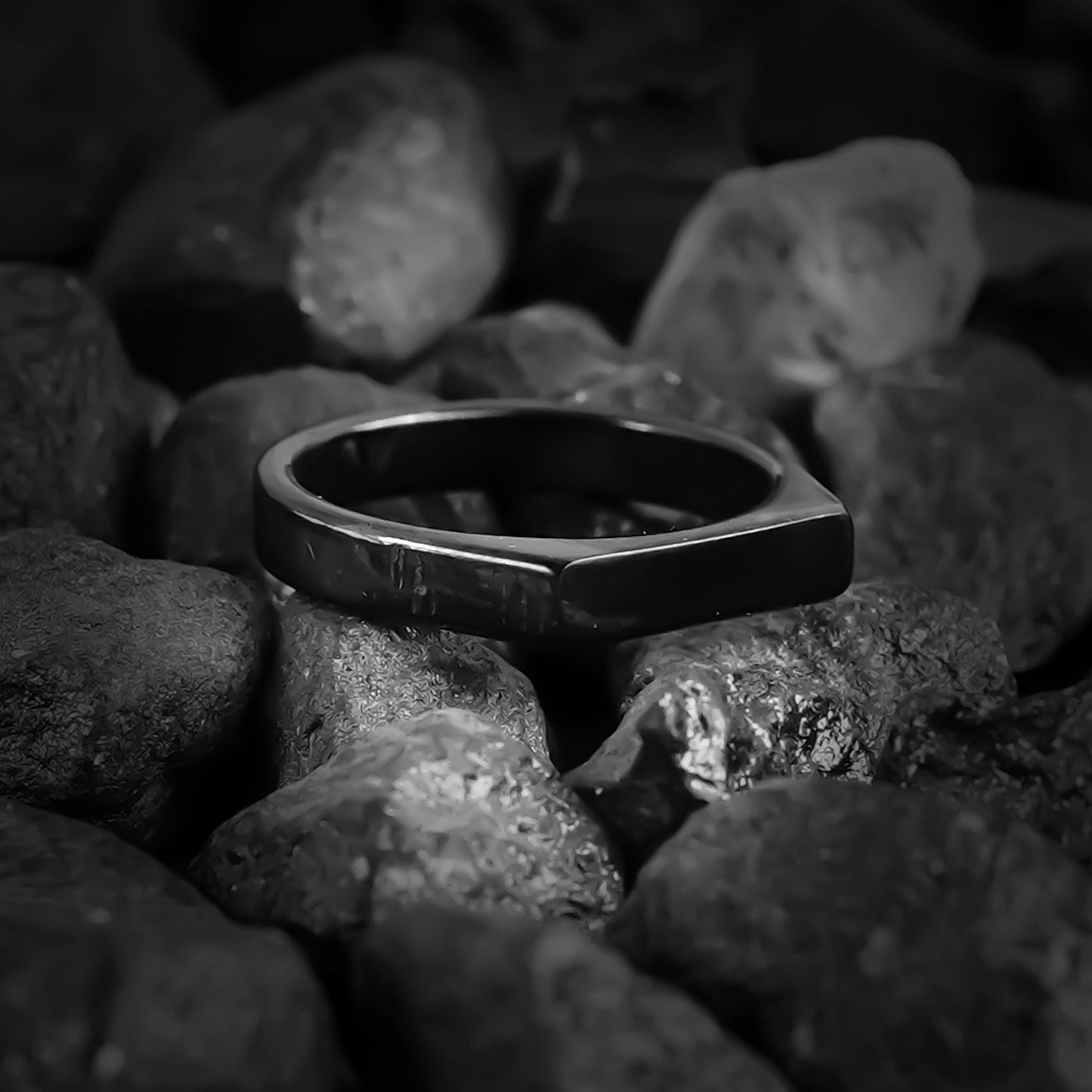 Black Regal Ring-316L
