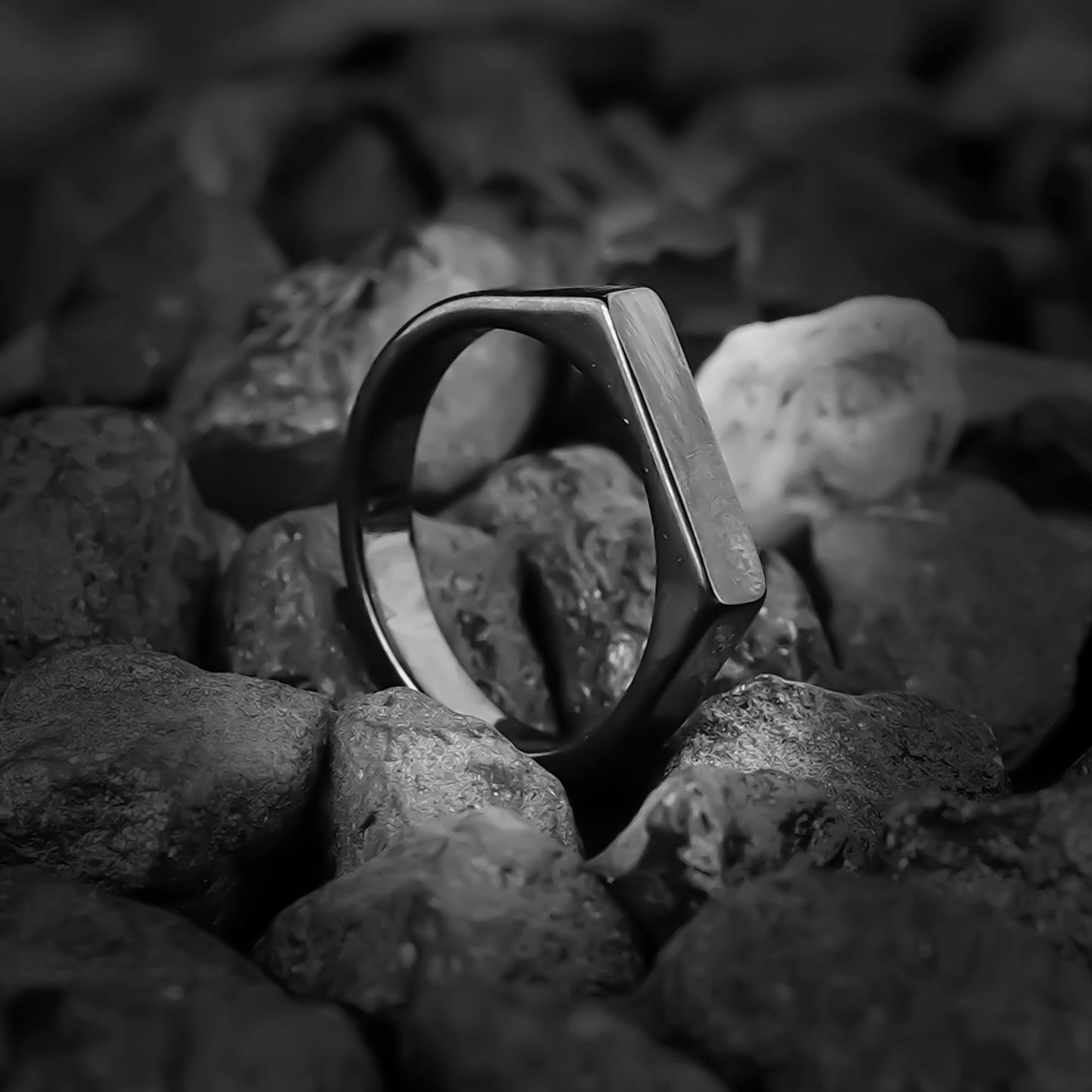 Black Regal Ring-316L