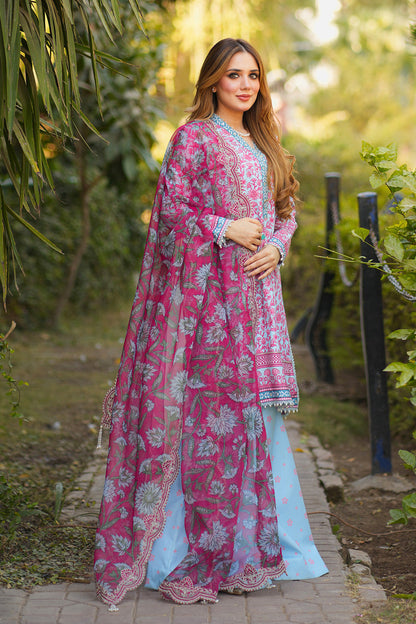 Embroidered - 3 Pc Lawn Suit (Organza Dupatta)