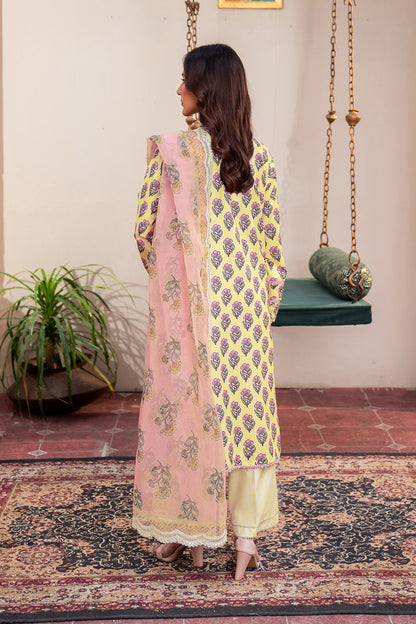 Embroidered - 3 Pc Lawn Suit (Organza Dupatta)