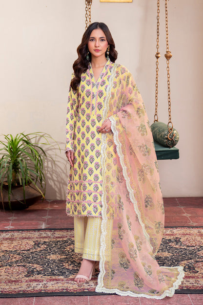 Embroidered - 3 Pc Lawn Suit (Organza Dupatta)