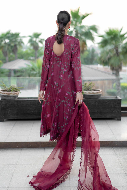 Embroidered - 3 Pc Lawn Suit (Organza Dupatta)