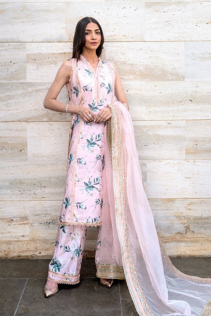 Embroidered - 3 Pc Lawn Suit (Organza Dupatta)