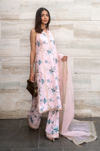 Embroidered - 3 Pc Lawn Suit (Organza Dupatta)