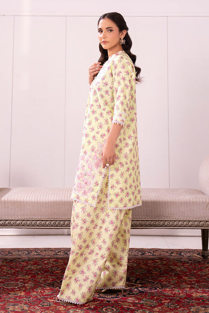 Embroidered - 2 Pc Lawn Suit