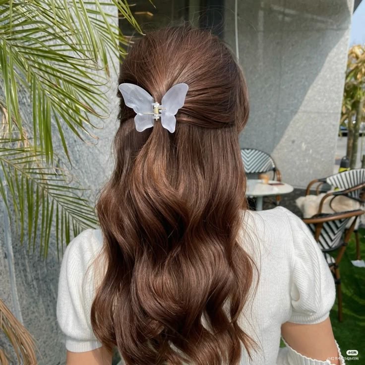 Frosted Butterfly Hair Claw