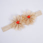 Head Band