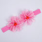 Head Band