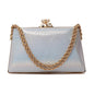 Silver Fancy Clutch C00C20349