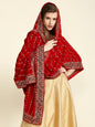 Multicolour Embroidered Velvet Dupatta