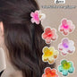 6pcs Dreamy Blossom Mini Clips