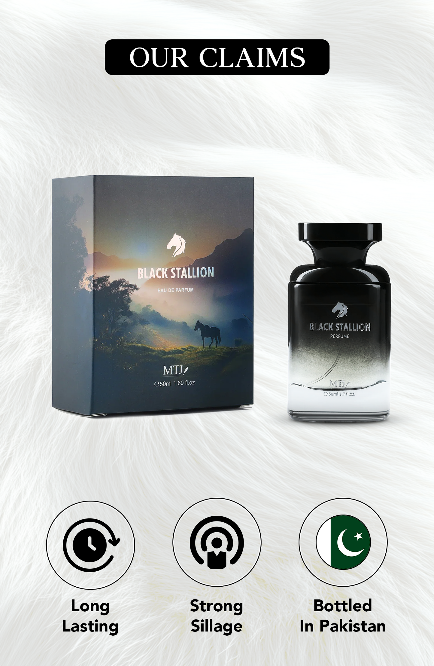 BLACK STALLION