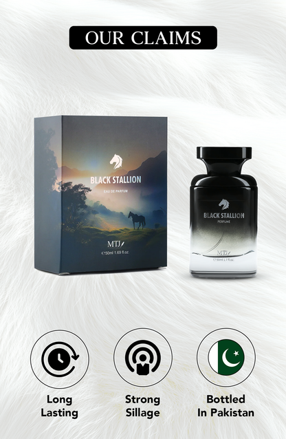 BLACK STALLION